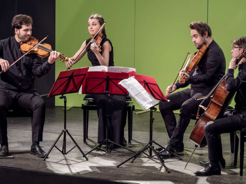 Prizes Awarded at Berlin's Irene Steels-Wilsing Foundation String Quartet Competition - image attachment